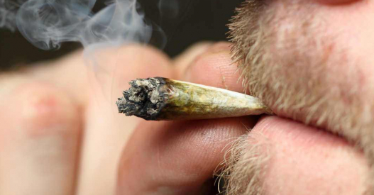 aprueban-uso-marihuana-en-dictamen