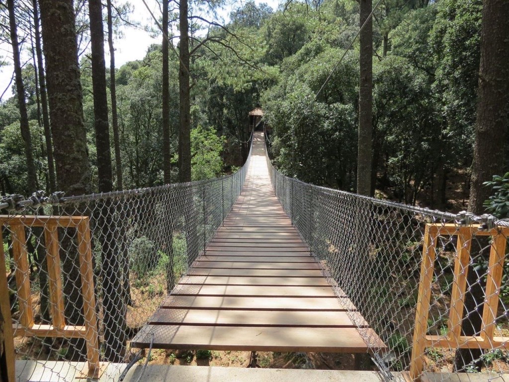 Te recomendamos visitar el Parque Ecológico Xocotépelt, Jocotitlán, Estado de México en Semana Santa, pues este espacio cuenta con zona de camping, tirolesa, rápel, gotcha, áreas de senderismo y más que podrás disfrutar en familia